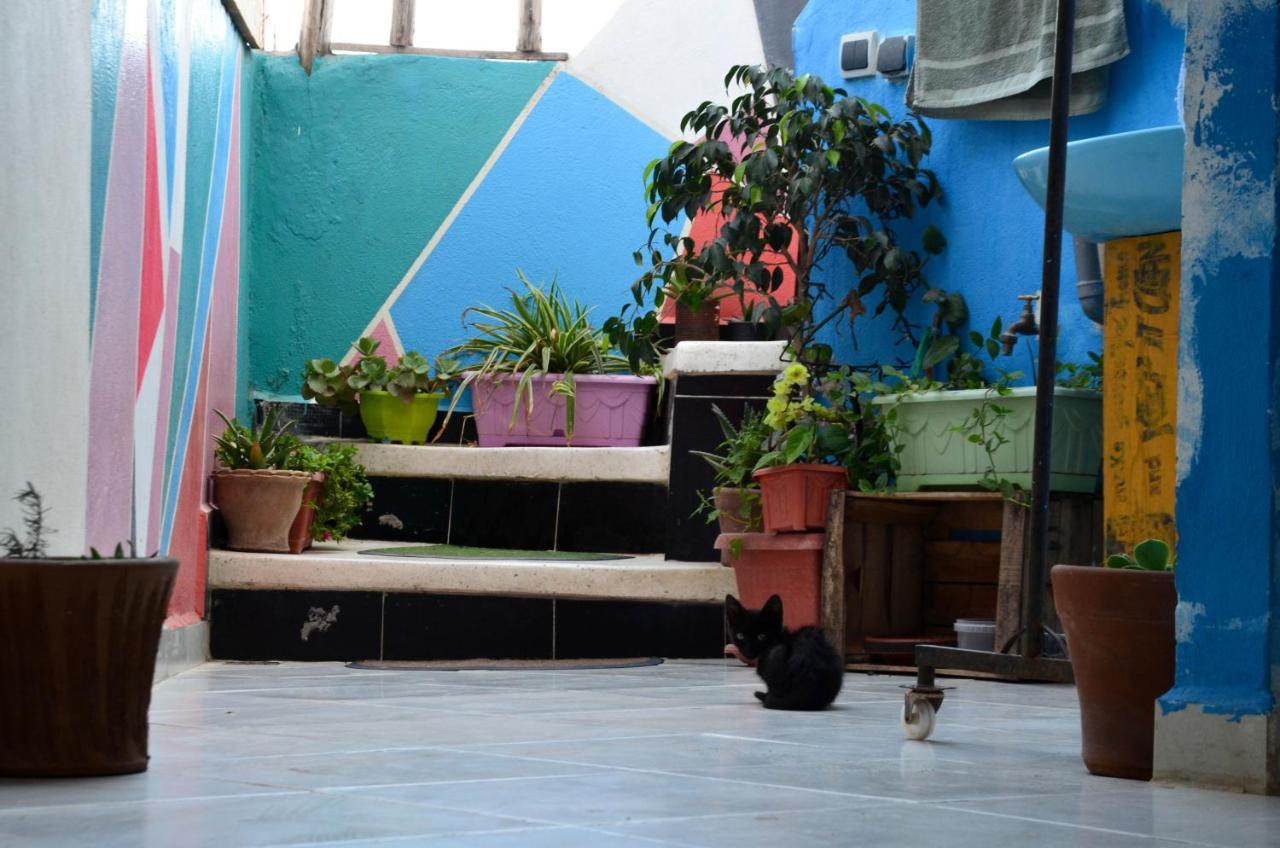 Tayought Surf Hostel Taghazout Ngoại thất bức ảnh
