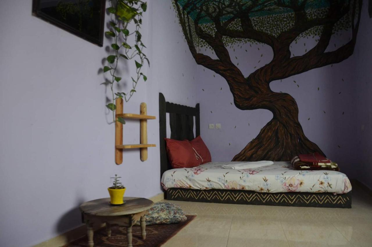 Tayought Surf Hostel Taghazout Phòng bức ảnh